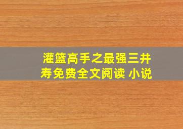 灌篮高手之最强三井寿免费全文阅读 小说